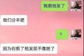 丰顺企业清欠服务